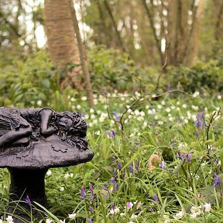 Magical Forest Yurt Sturry Bagian luar foto