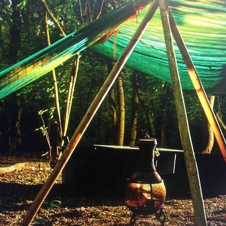 Magical Forest Yurt Sturry Bagian luar foto
