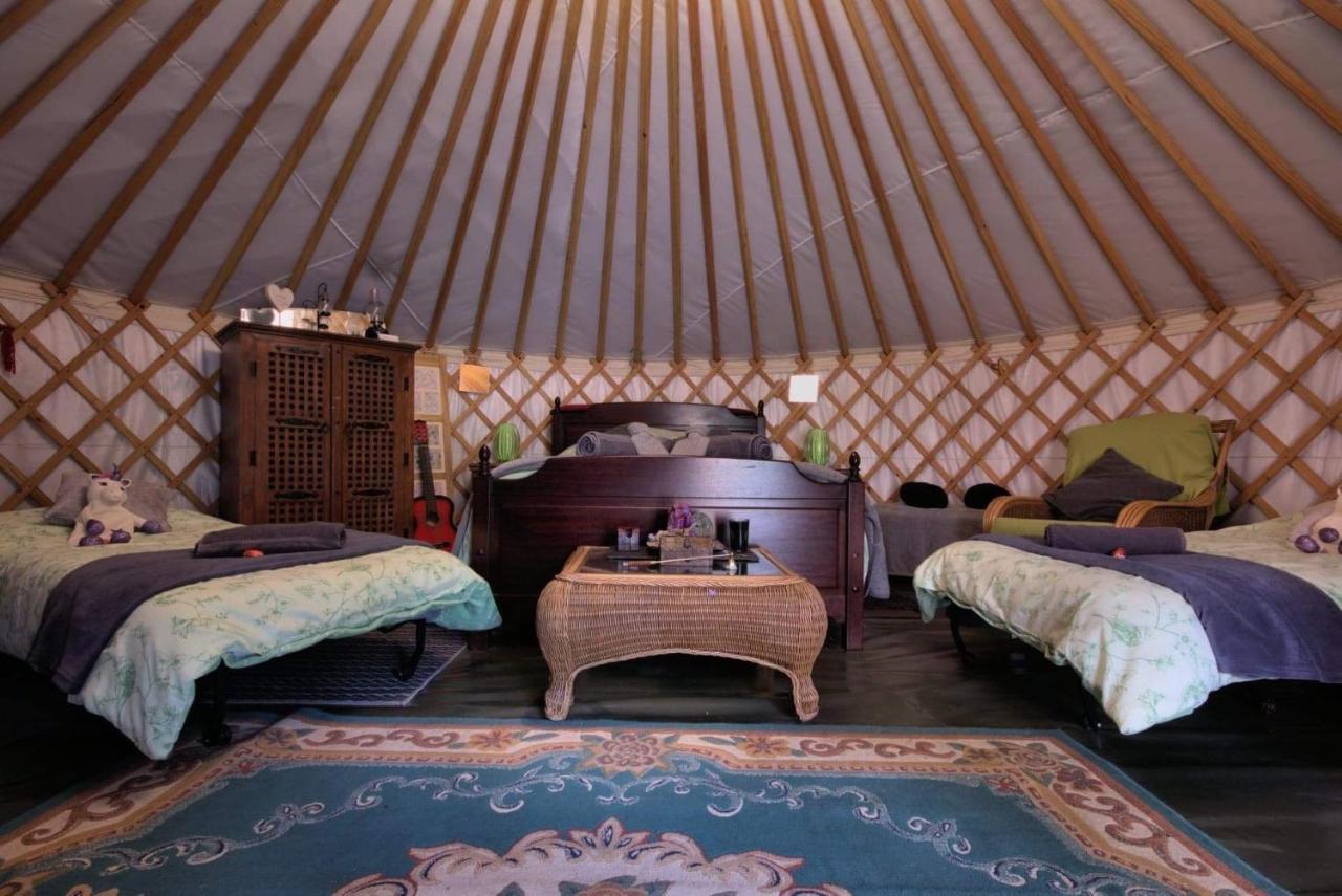 Magical Forest Yurt Sturry Bagian luar foto