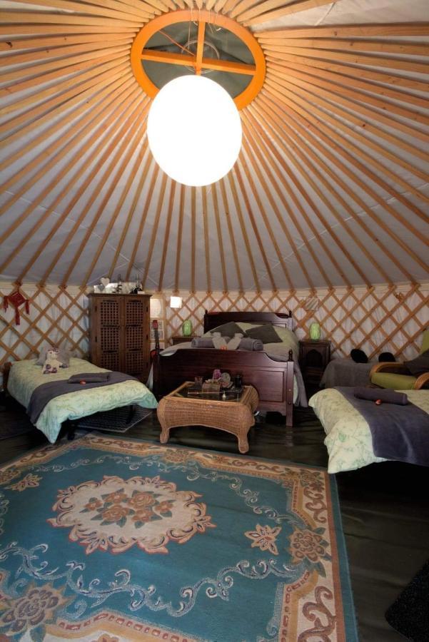 Magical Forest Yurt Sturry Bagian luar foto