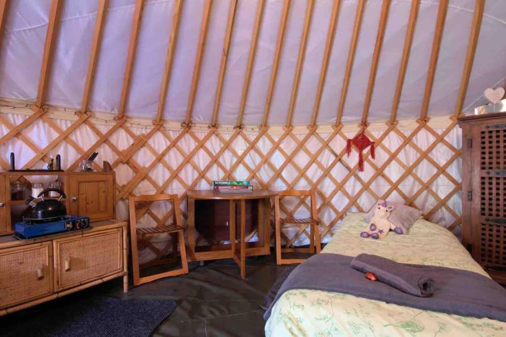 Magical Forest Yurt Sturry Bagian luar foto