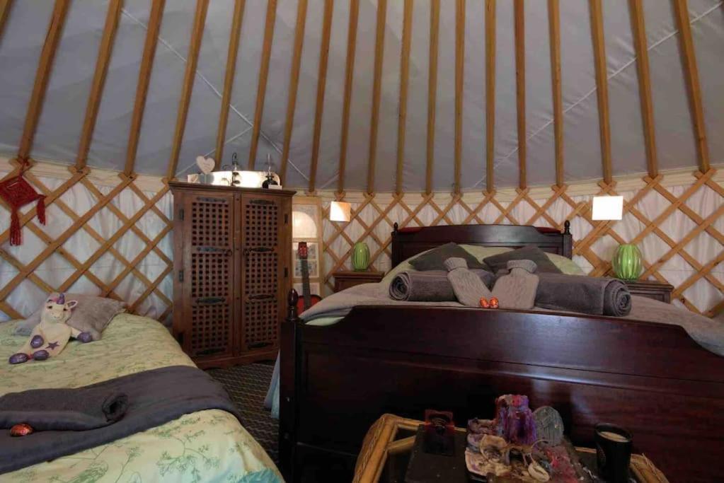 Magical Forest Yurt Sturry Bagian luar foto