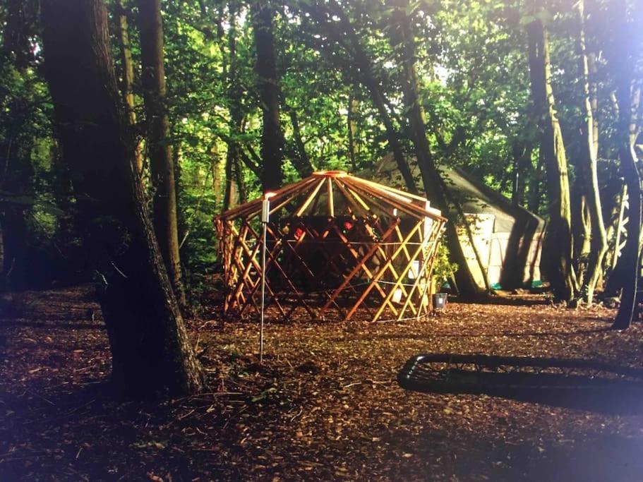 Magical Forest Yurt Sturry Bagian luar foto