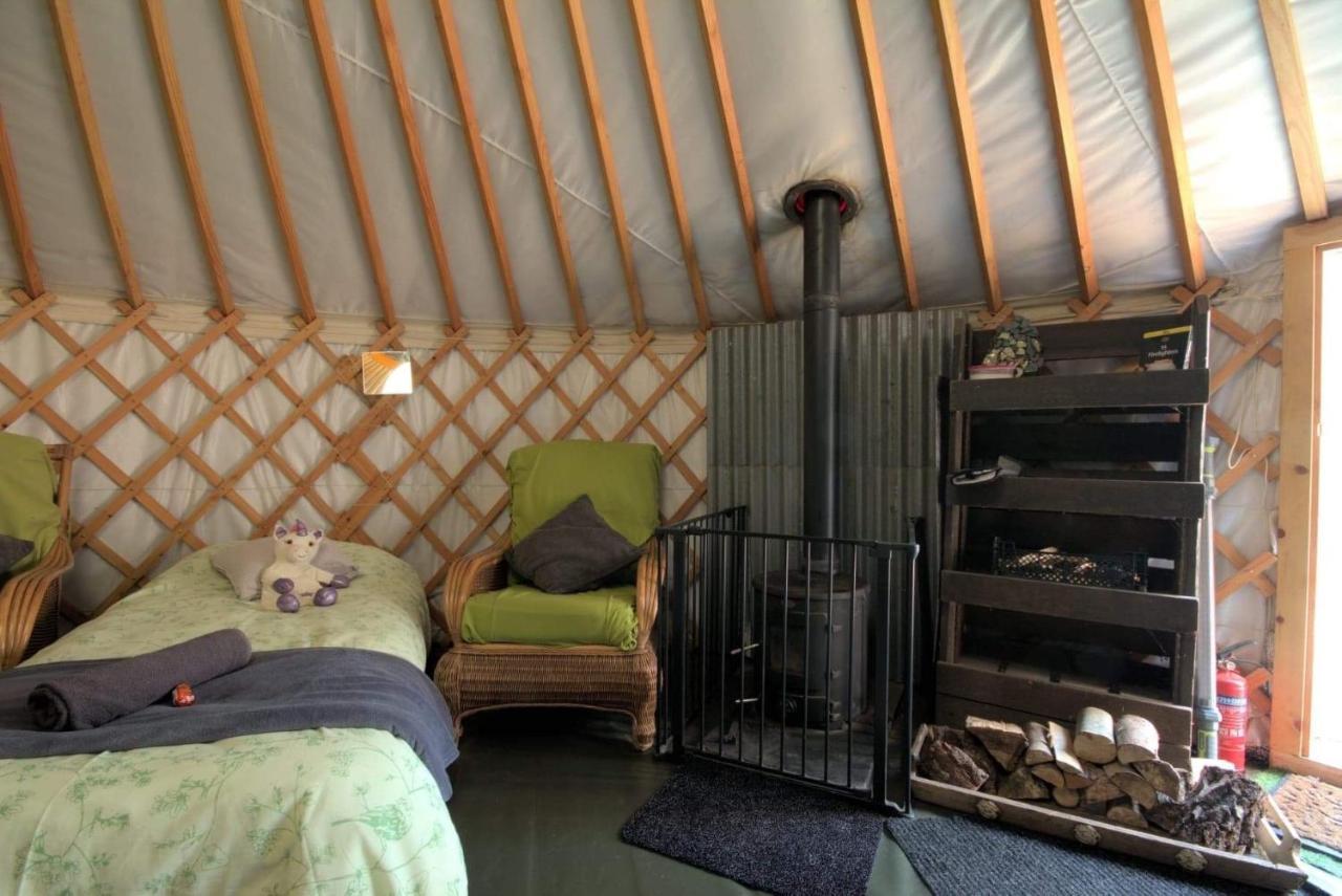 Magical Forest Yurt Sturry Bagian luar foto