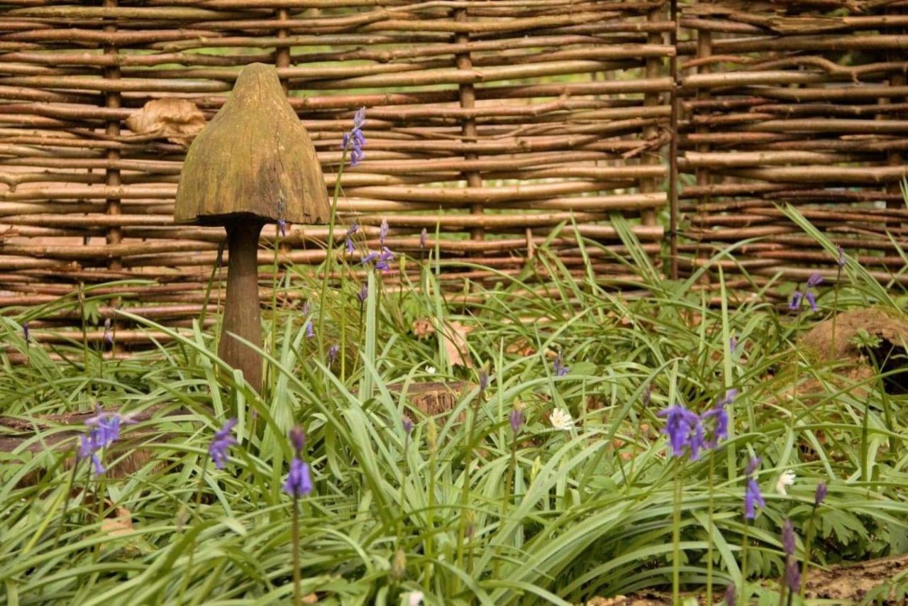 Magical Forest Yurt Sturry Bagian luar foto