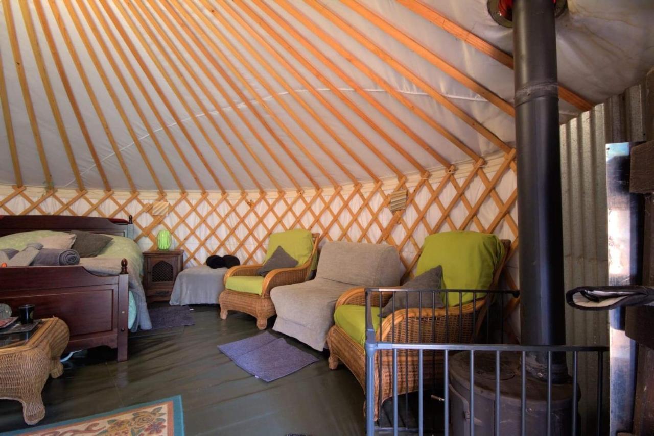 Magical Forest Yurt Sturry Bagian luar foto