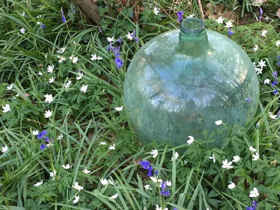Magical Forest Yurt Sturry Bagian luar foto