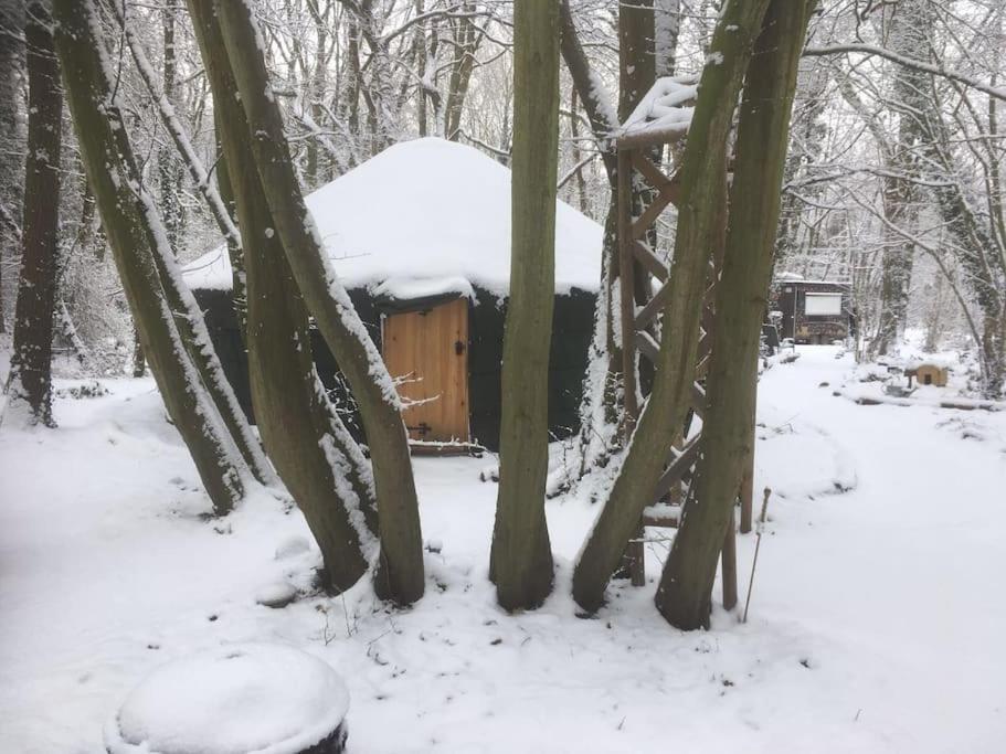 Magical Forest Yurt Sturry Bagian luar foto