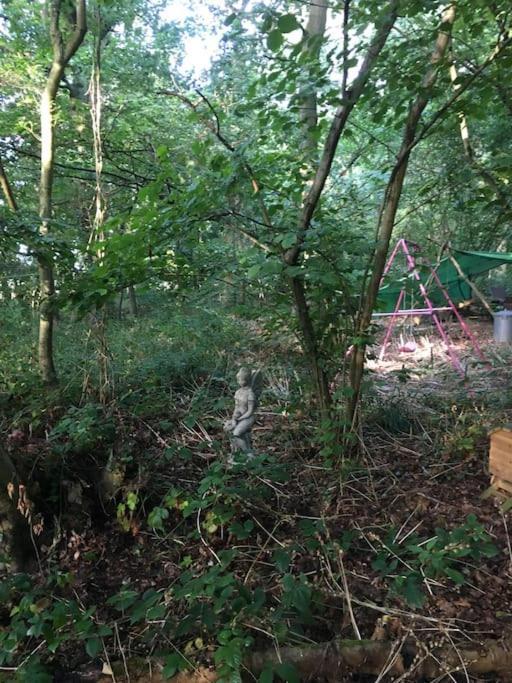 Magical Forest Yurt Sturry Bagian luar foto