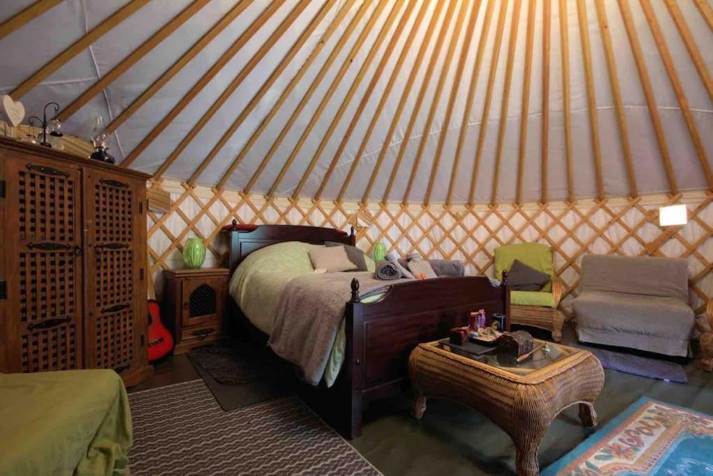 Magical Forest Yurt Sturry Bagian luar foto