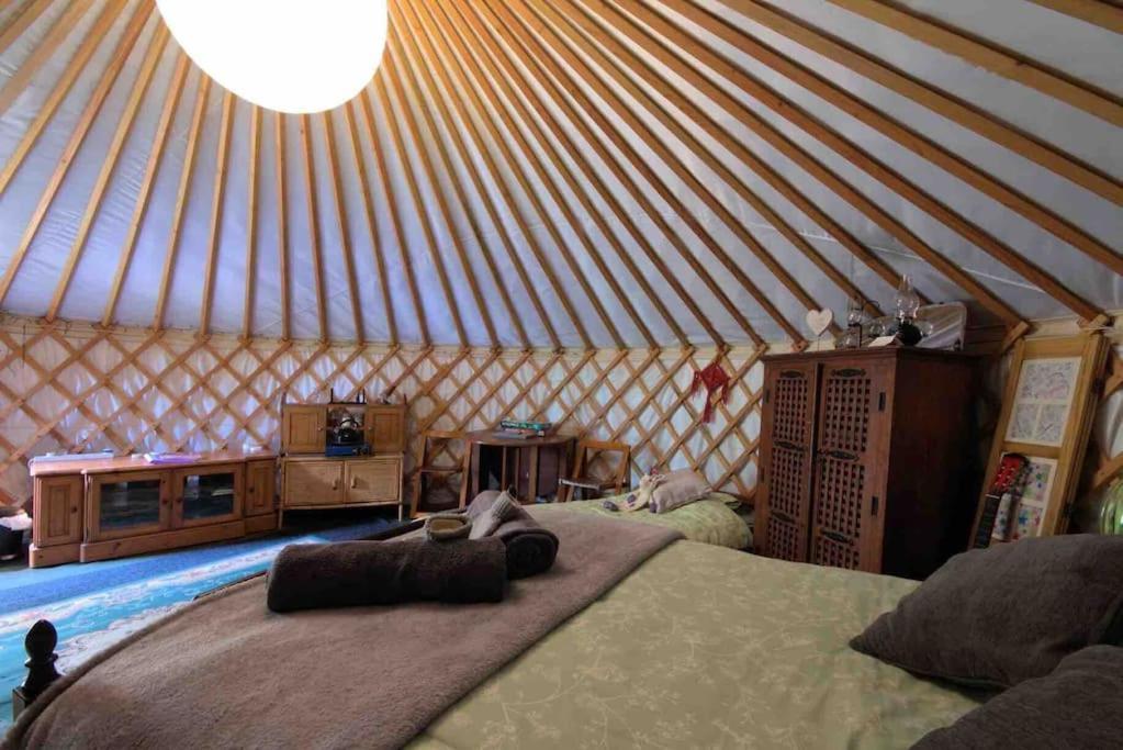 Magical Forest Yurt Sturry Bagian luar foto