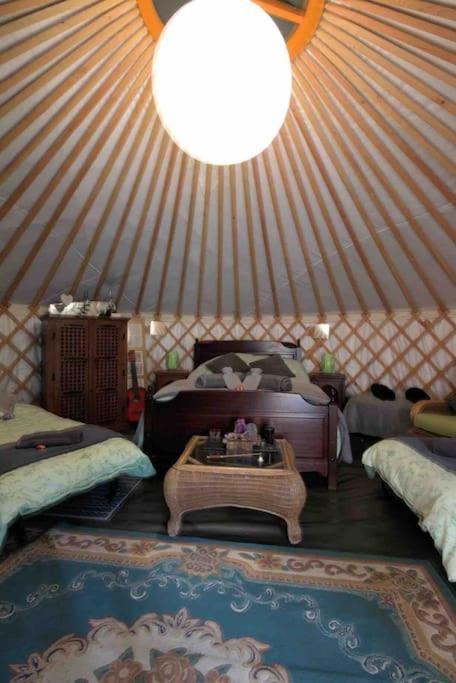 Magical Forest Yurt Sturry Bagian luar foto
