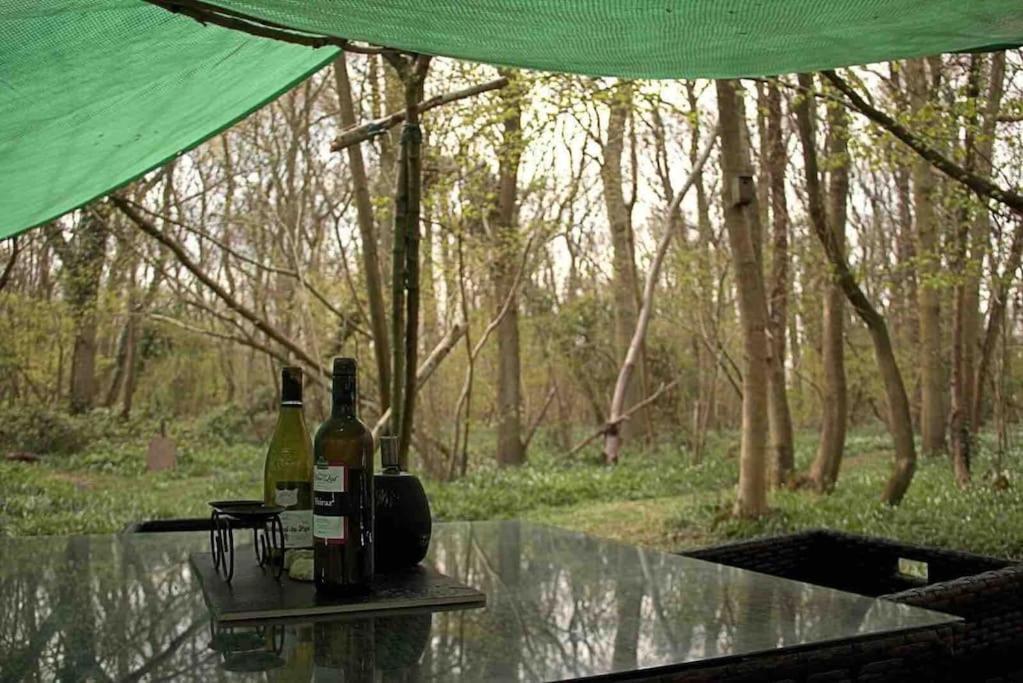 Magical Forest Yurt Sturry Bagian luar foto