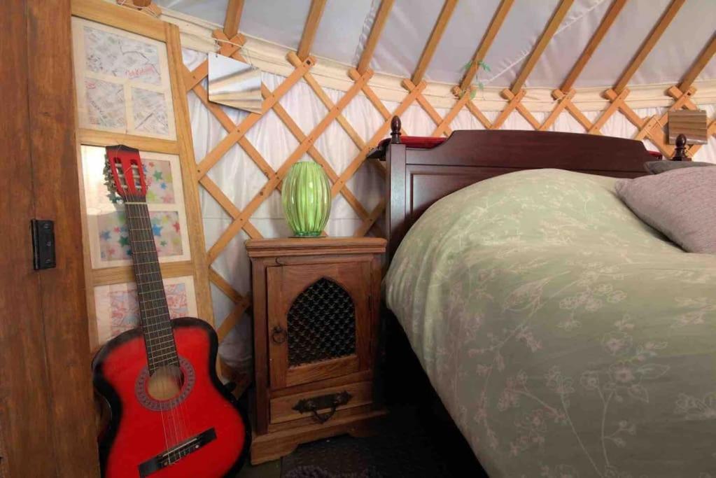 Magical Forest Yurt Sturry Bagian luar foto